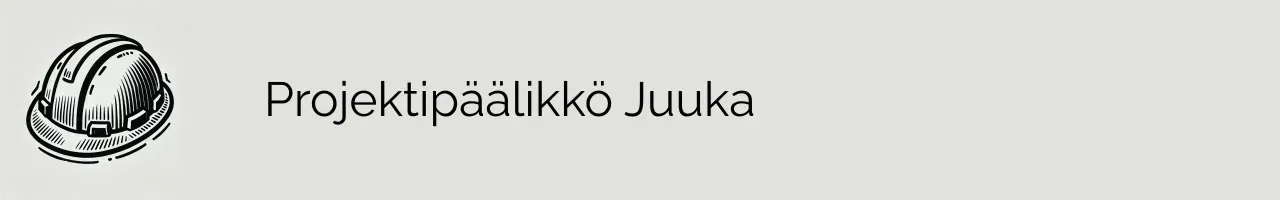 Projektipäälikkö Juuka