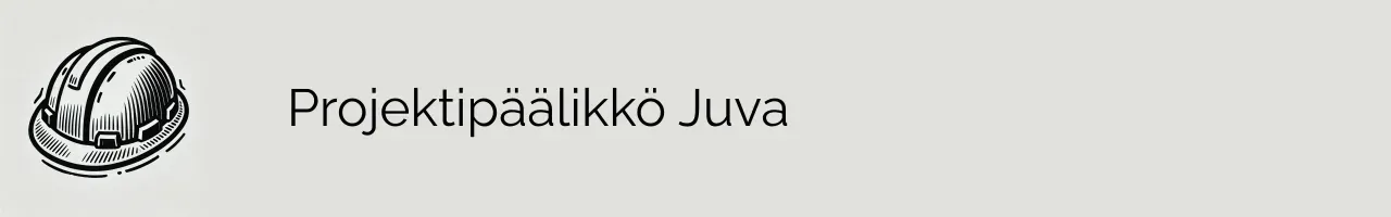 Projektipäälikkö Juva