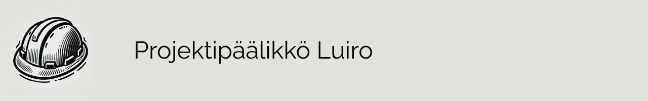 Projektipäälikkö Luiro