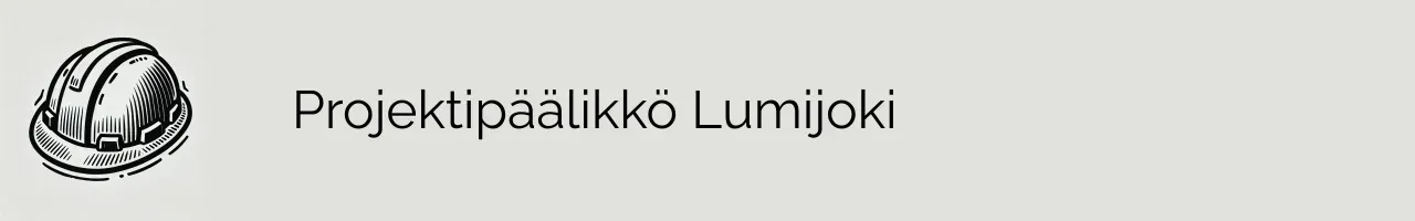 Projektipäälikkö Lumijoki