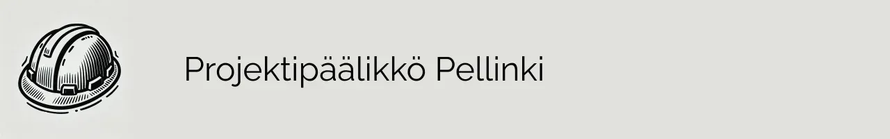 Projektipäälikkö Pellinki