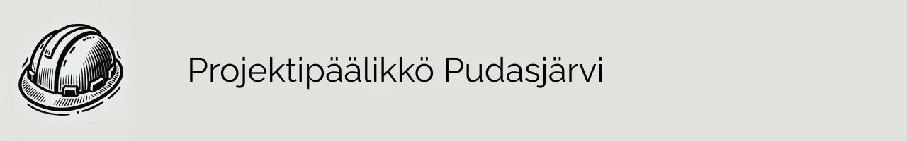 Projektipäälikkö Pudasjärvi